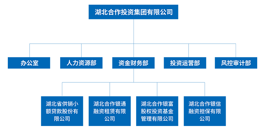 qmh球盟会